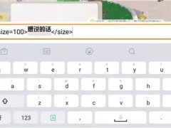 摩尔庄园手游聊天字体怎么变大？聊天字体变大代码分享[多图]